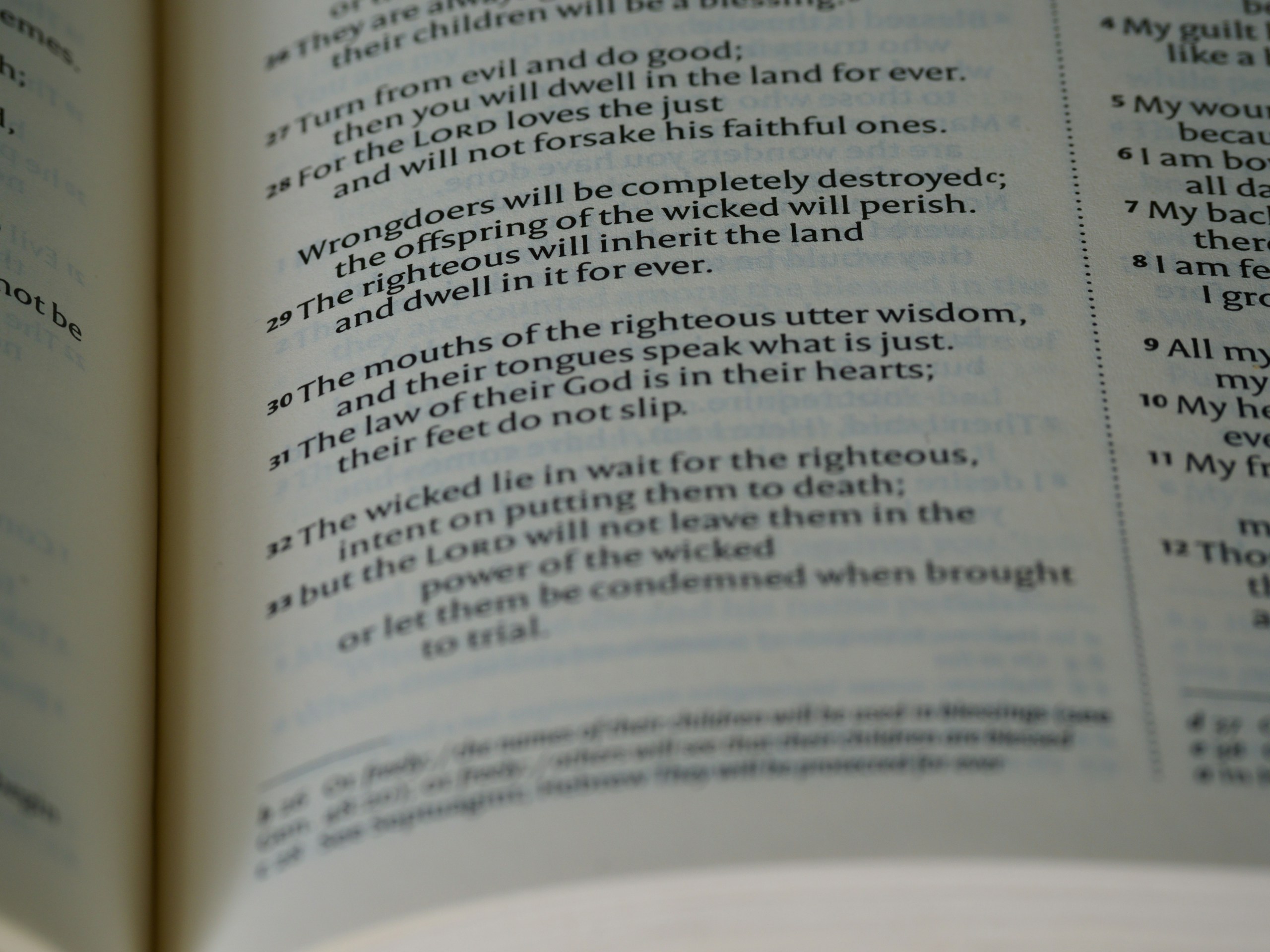 a close up of a book with an open page