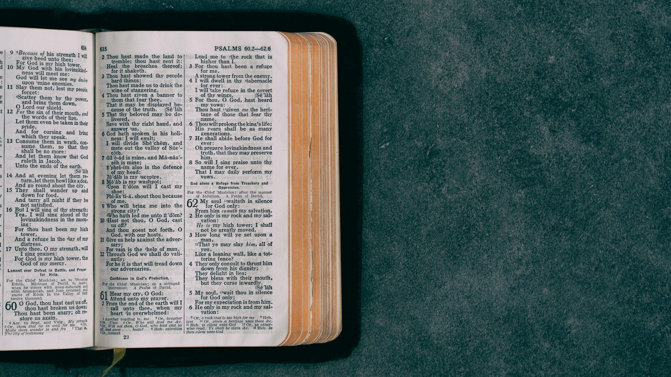 open pocket bible on green surface