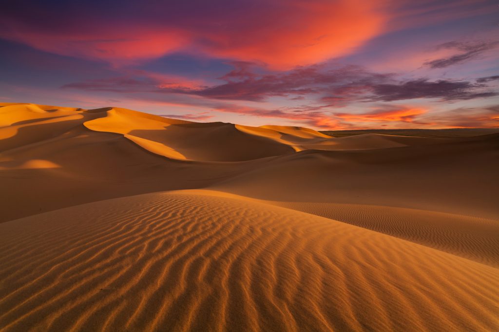 Through The Desert
