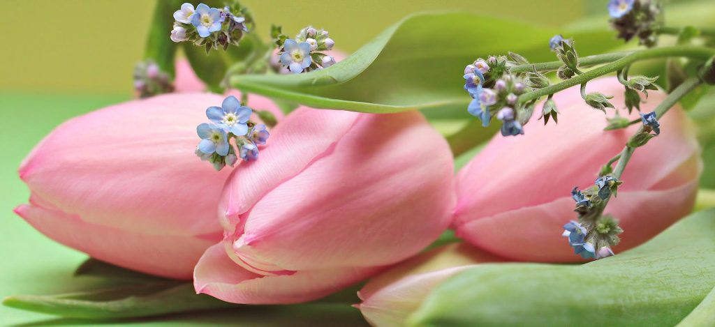 Mother’s Day Sermon