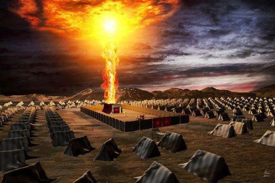 Trouble in the Camp