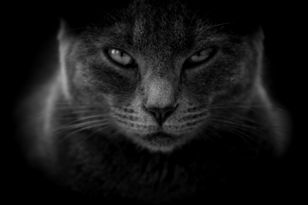 Anger