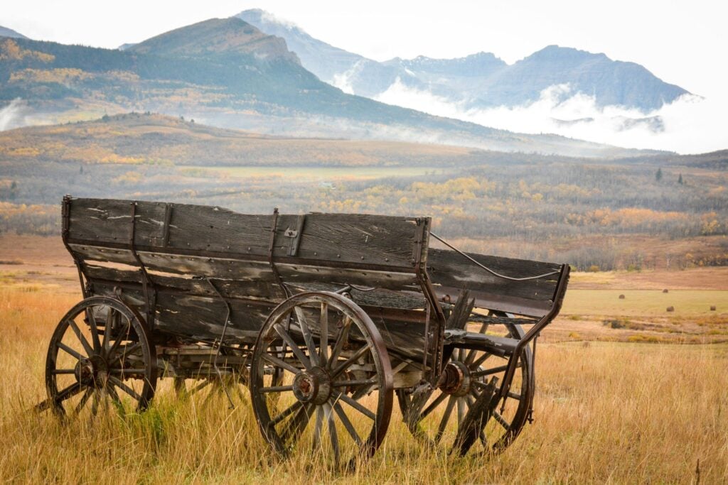 black wooden carriage on brown grass field during daytime