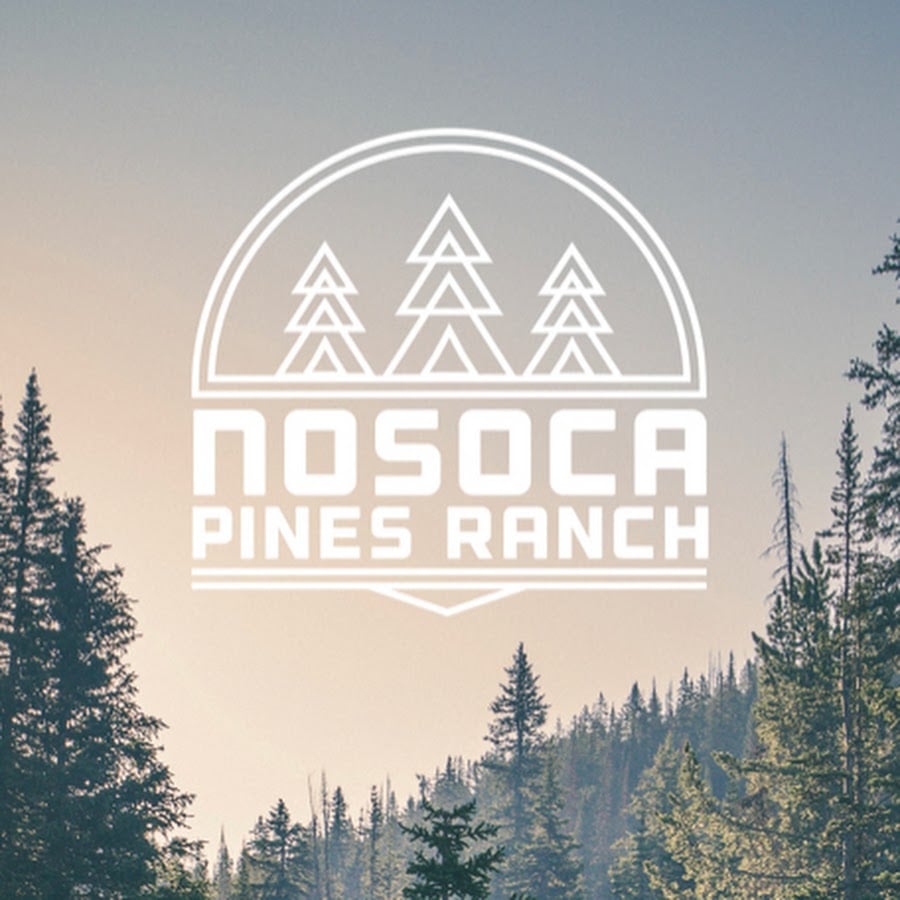 Nosoca Pines Workbee