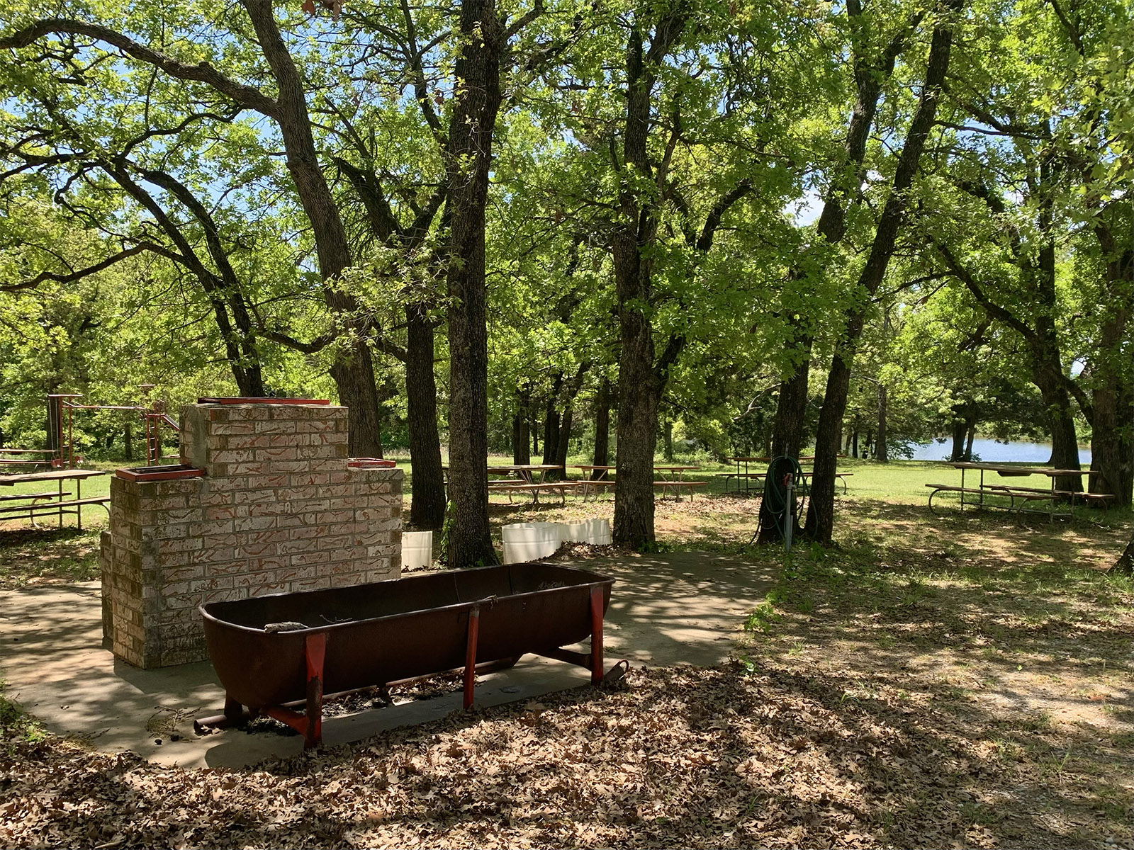 Outdoor picnic and barbecue area with shade trees and seating in a senior living community