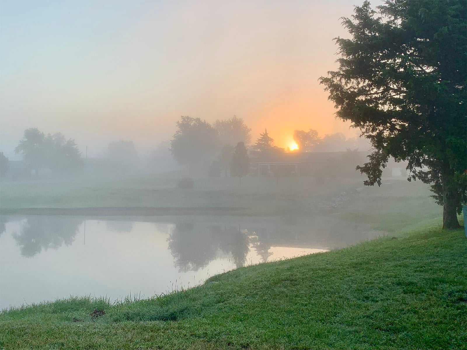 Misty sunrise over a pond with early morning reflections