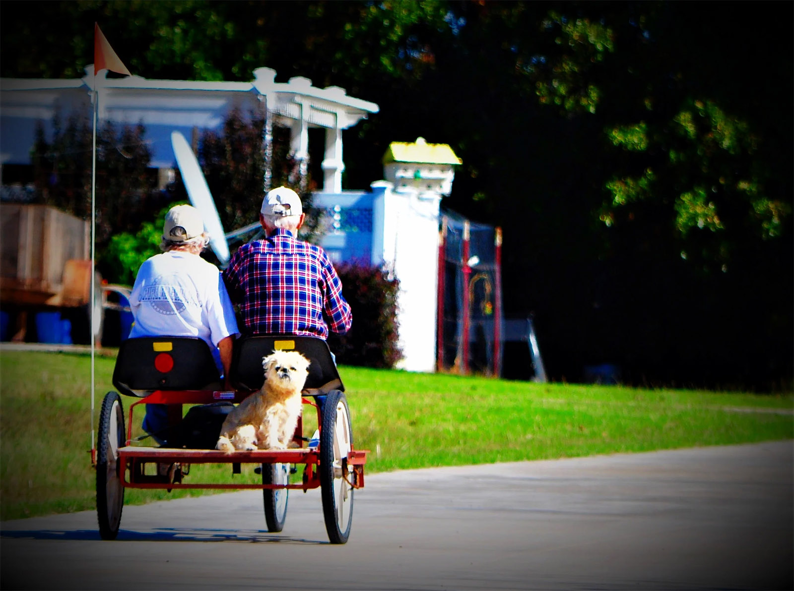 Senior couple riding a side-by-side bicycle with their dog along a quiet community road