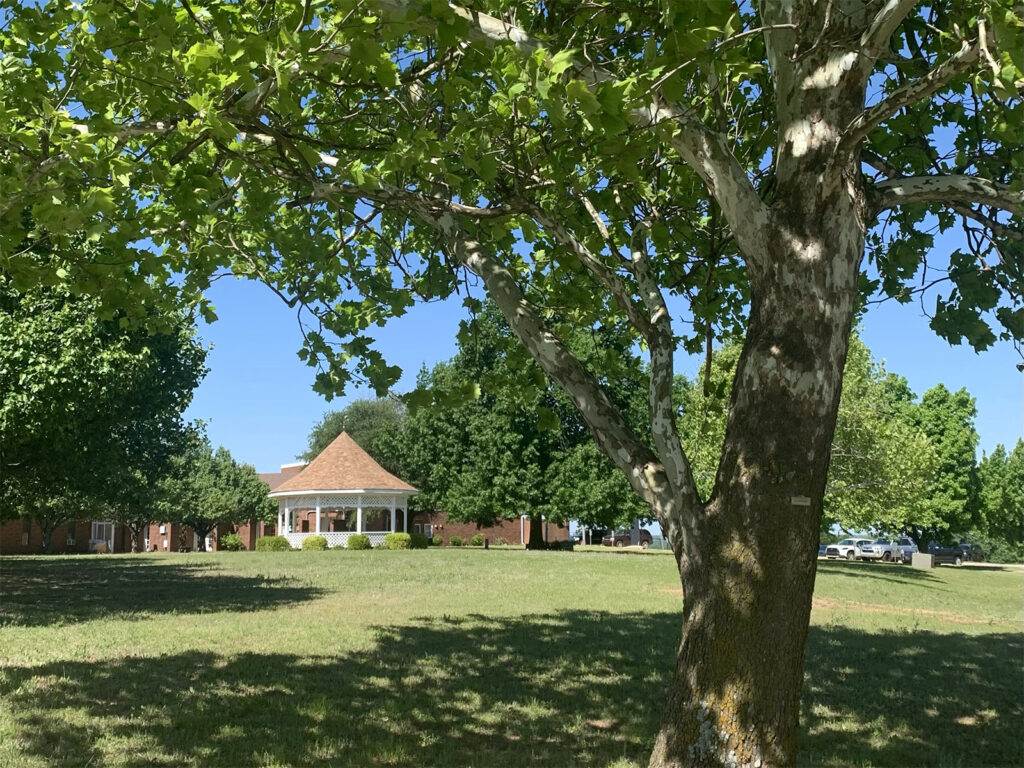 White gazebo framed by a large leafy tree beside a grassy lawn at Summit Ridge Retirement Village