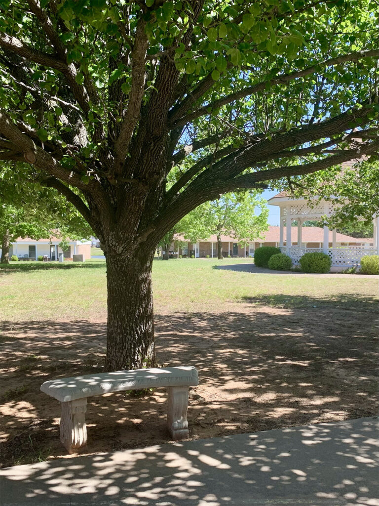 Decorative stone garden bench in dappled sunlight beneath a large shade tree with a gazebo visible beyond