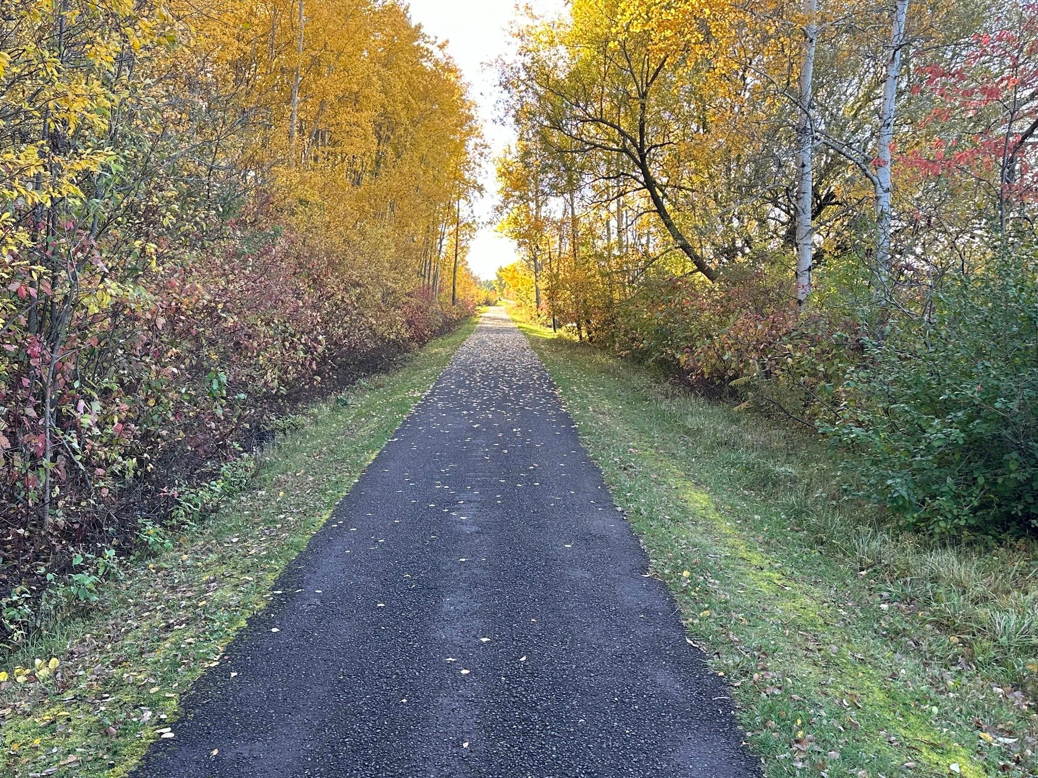 The Longest Walk