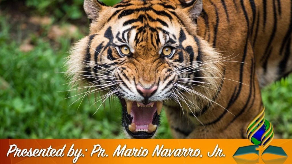Taming the Beast // Pr. Mario Navarro, Jr.