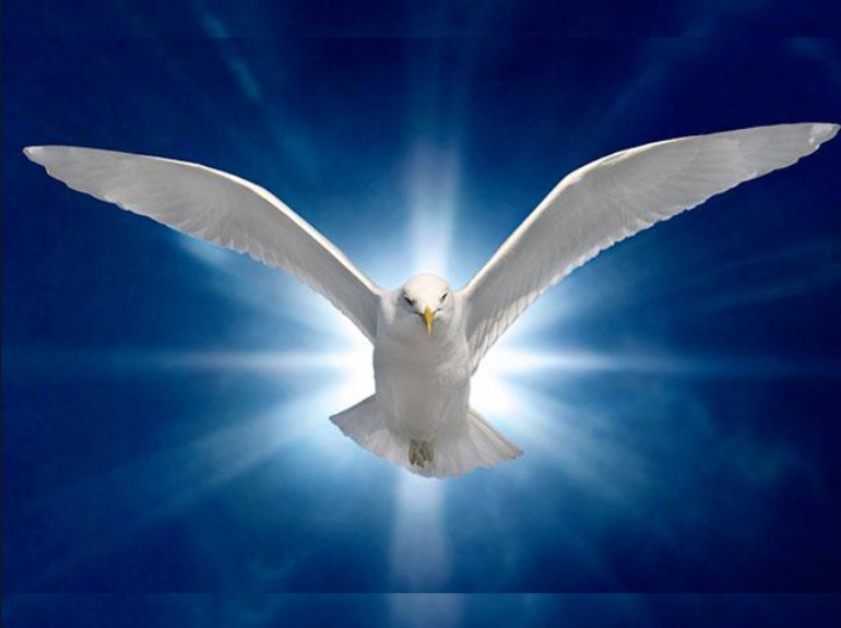 The Baptism of the Holy Spirit
