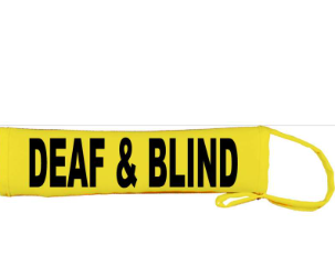 Is There Time To Be Blind and Deaf