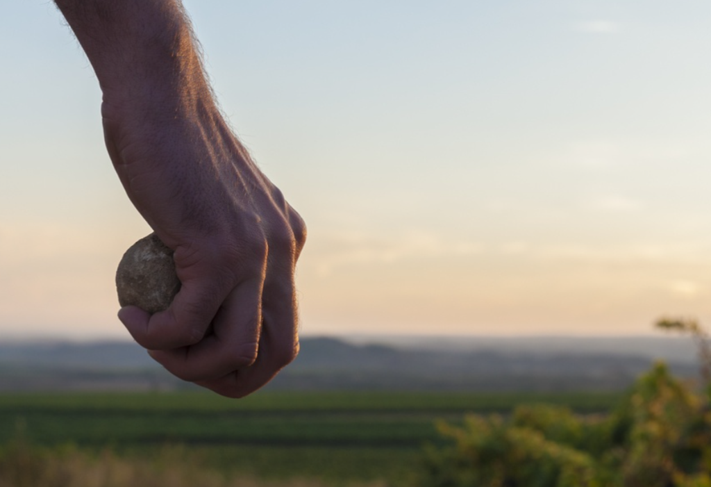 Drop the Stone