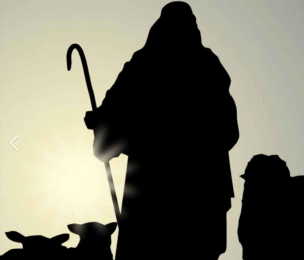 Who is My Shepherd?