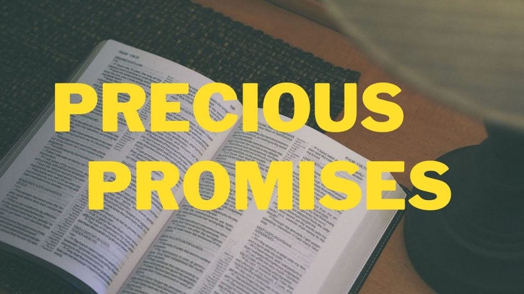Precious Promises