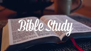 The Bible Habit