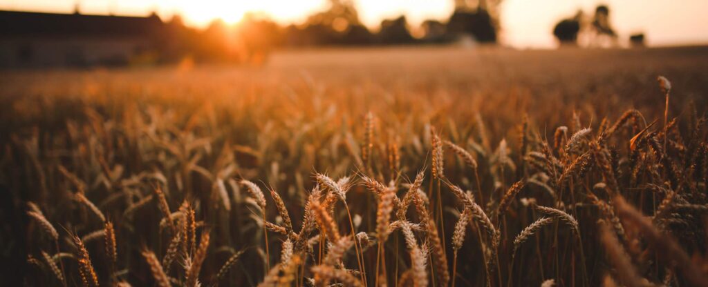 God’s Miracle Grow