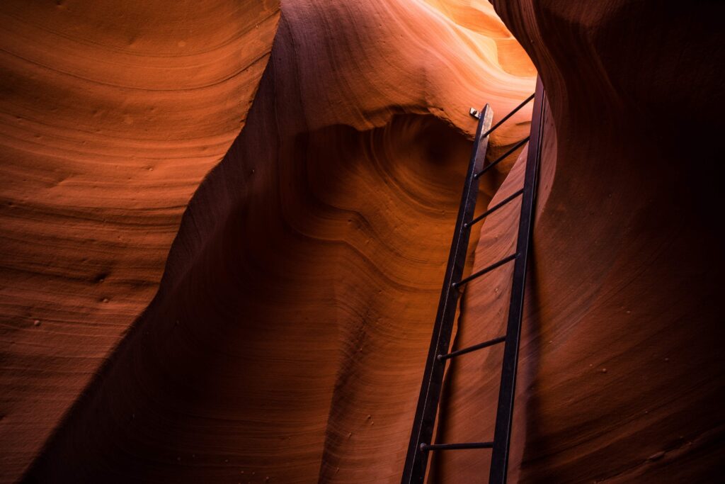 The Ladder