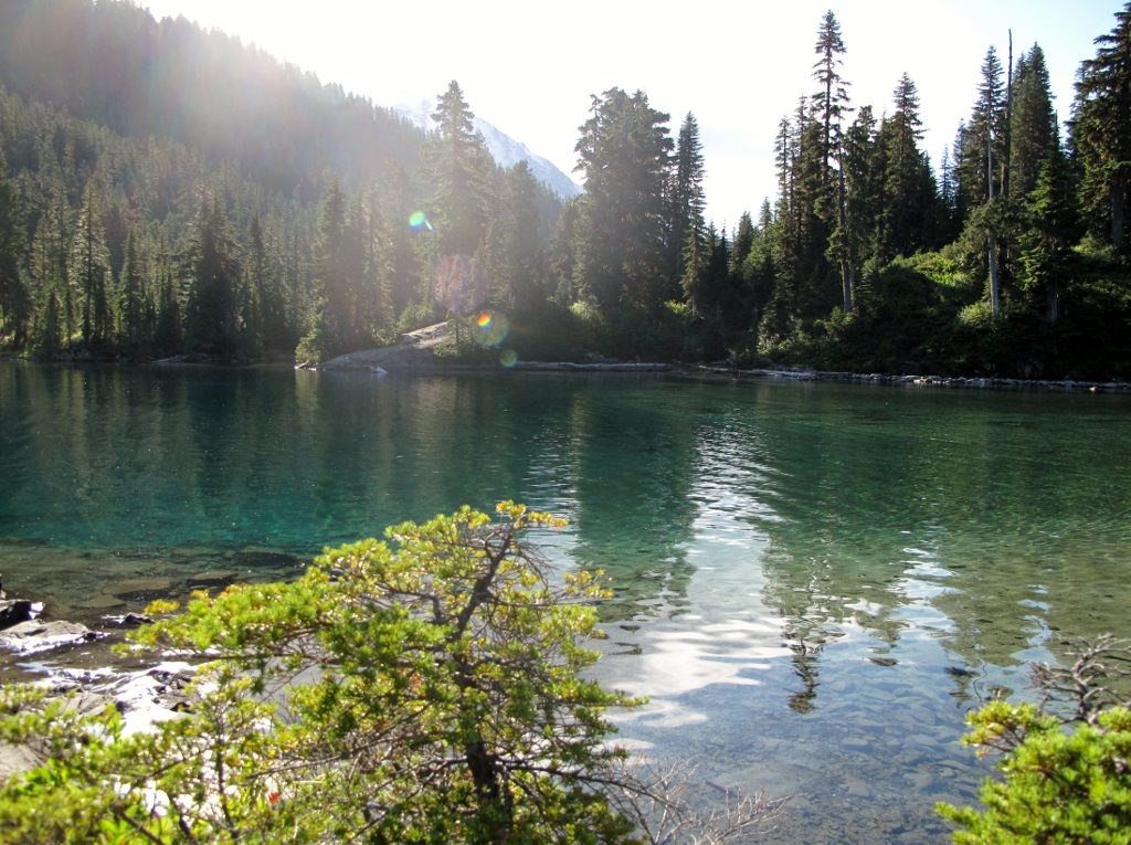 Reflections on Psalm 125 at Mowich Lake