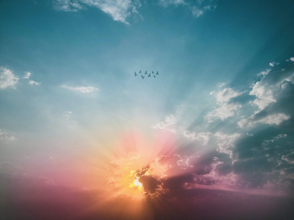 Heaven Begins on Earth