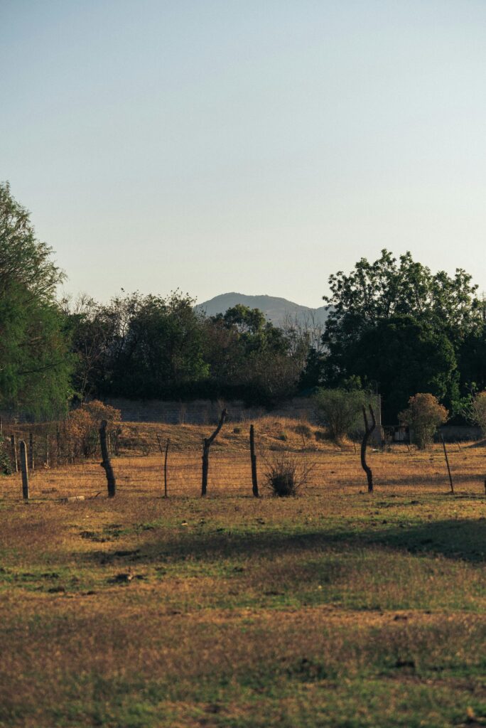 Dry Season