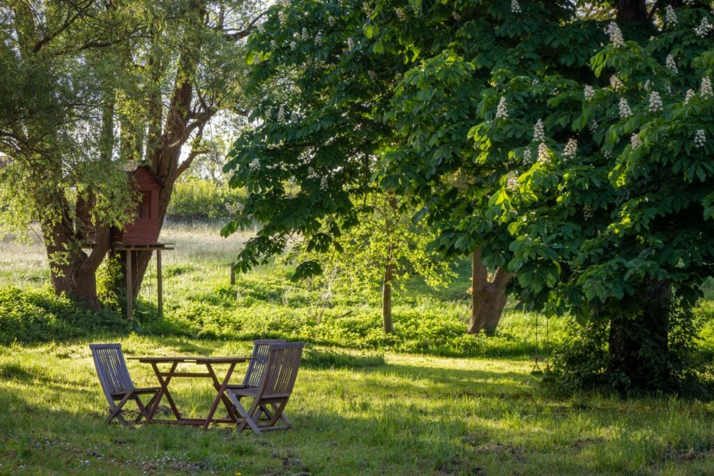 Garden Time