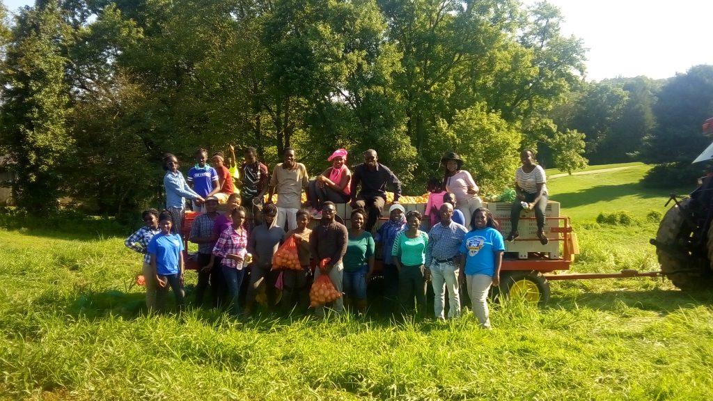 Washington Ghanaian SDA Volunteering Youth Harvest Potatoes on First Fruits Farm