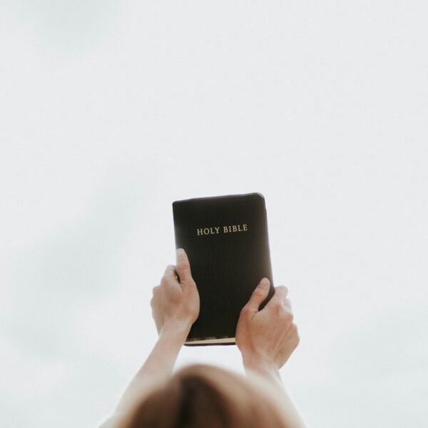 person holding Holy Bible