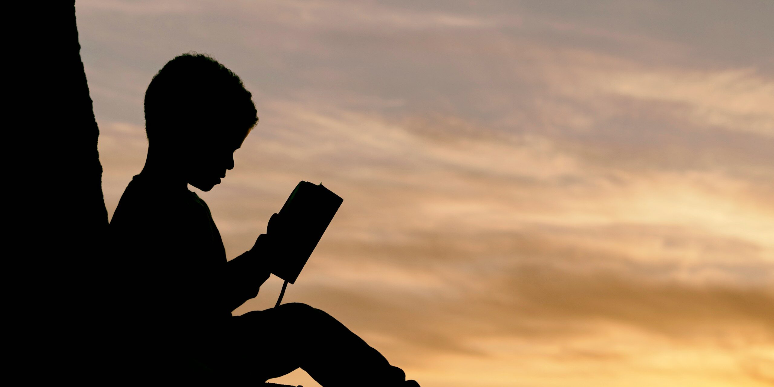 silhouette of child sitting behind tree during sunset