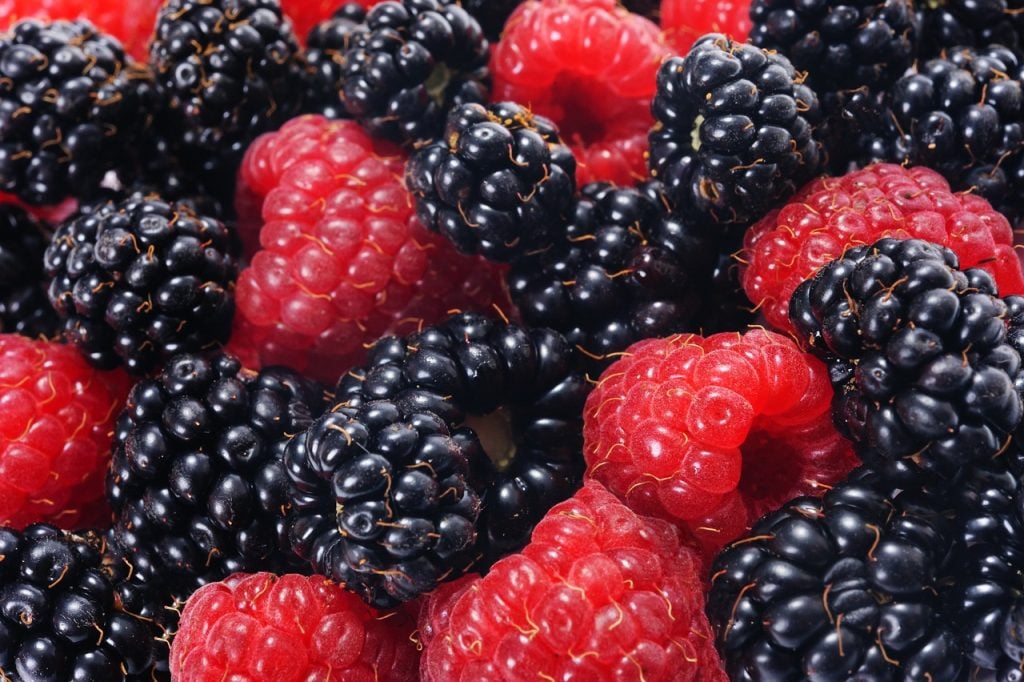 what are 8 laws of health according to bible?