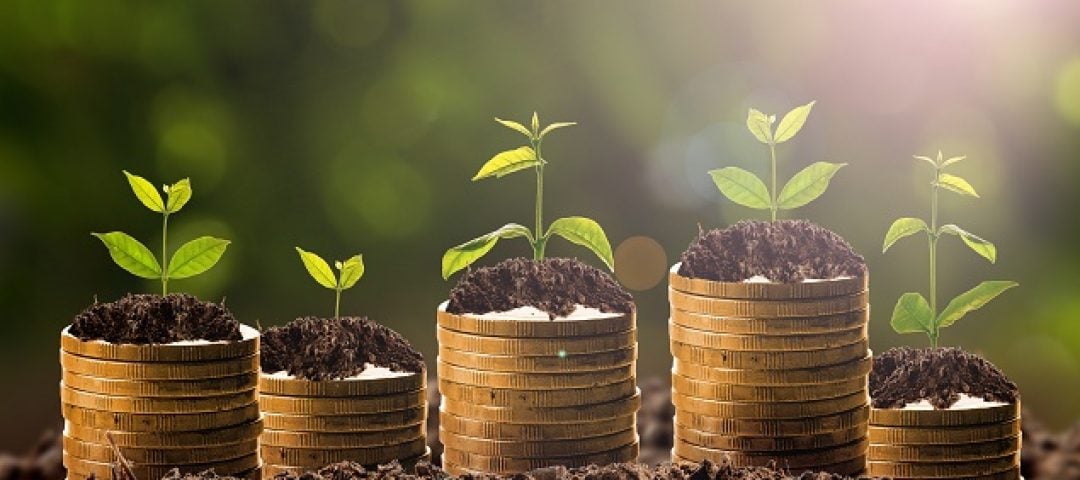 Level Up Your Life: Stewardship as a Seventh-day Adventist