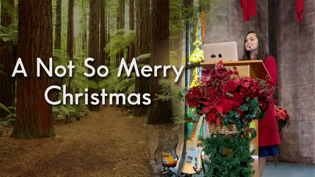 A Not So Merry Christmas – Taylor Henry