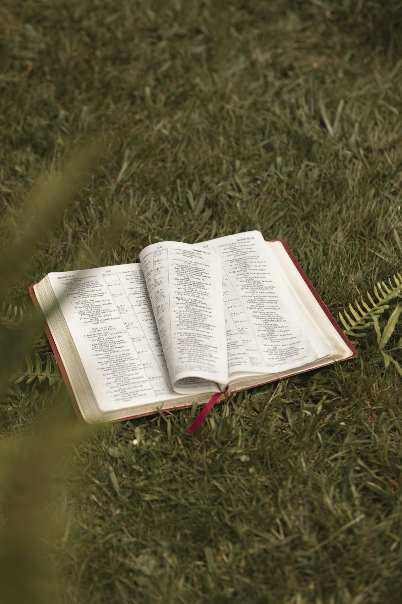 an open book sitting on top of a lush green field