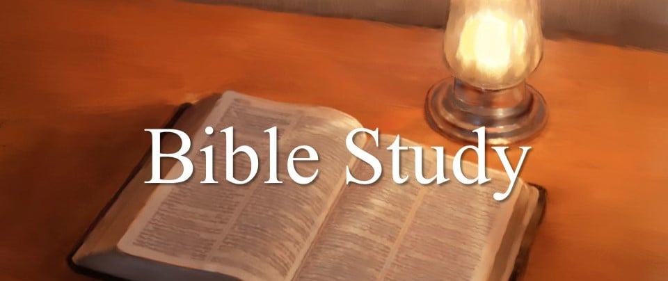 Bible Studies