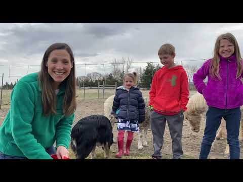 Children’s Story 04/11/2020 – by Kelli Jo Lamberton