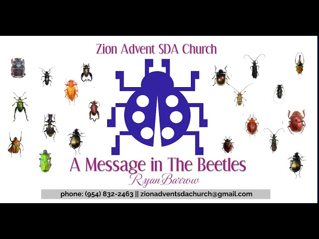 A Message in The Beetles | R. Barrow